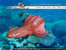 Tablet Screenshot of envision3dstudio.com